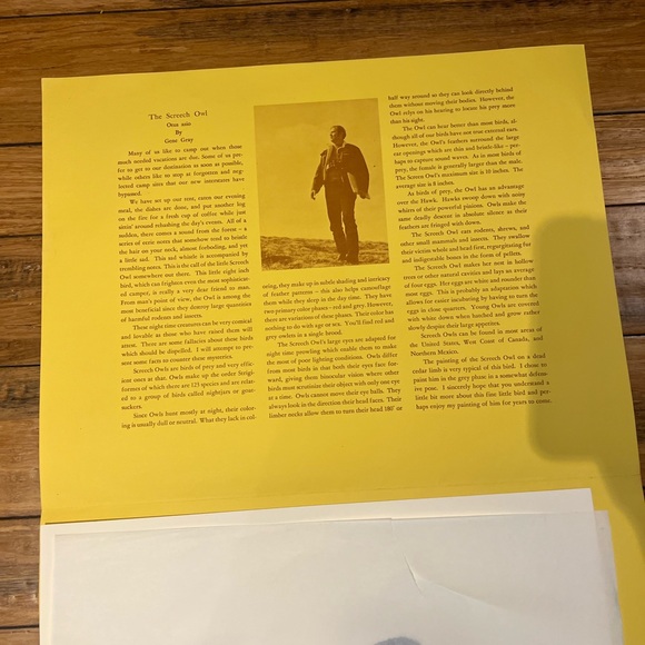 Vintage Gene Gray print the screech owl signed print - Picture 7 of 7